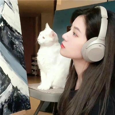灵魂互换后，皇后娘娘野翻了 封面